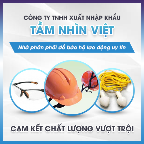 CÔNG TY TNHH XUẤT NHẬP KHẨU TẦM NHÌN VIỆT